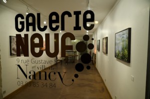 Galerie Neuf Anne Colson